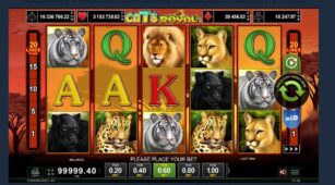 Cats Royal demo play free 1
