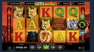 Cats Royal demo play free 2