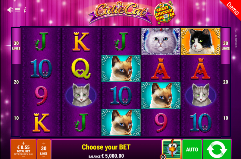 Cutie Cat Ccs