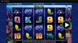 Dolphin Gold demo play free 0