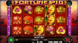 Fortune Pig (Ct Gaming) demo play free 1