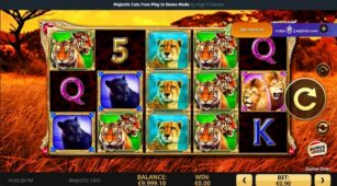 Majestic Cats demo play free 1
