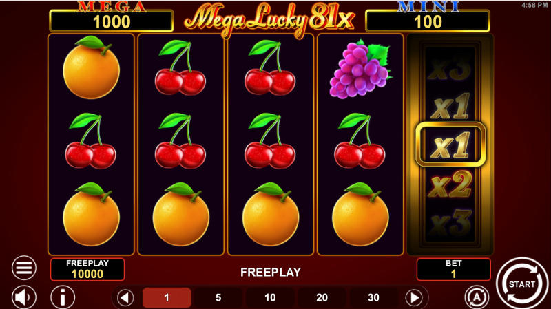 Mega Lucky 81X