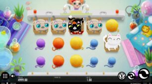 Not Enough Kittens demo play free 0