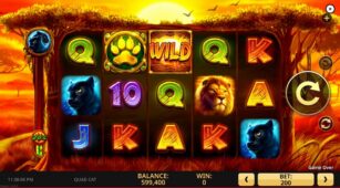 Quad Cat demo play free 2