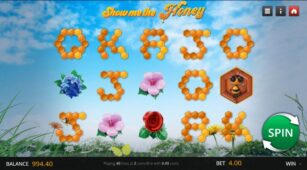 Show Me The Honey demo play free 1