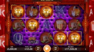 Stocked Bar demo play free 3