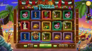 Tequila Fiesta demo play free 1