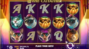 The Catfather demo play free 3