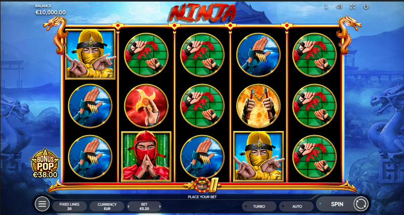 The Ninja