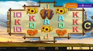 Triple Buffalo demo play free 0