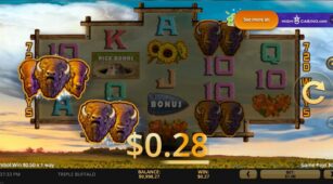 Triple Buffalo demo play free 2