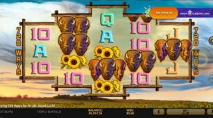 Triple Buffalo demo play free 3