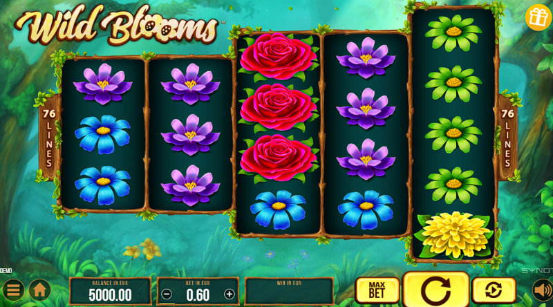 Wild Bloom