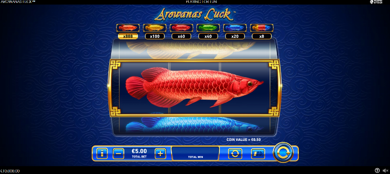 Arowanas Luck