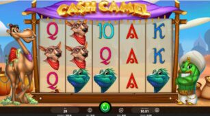 Cash Camel demo play free 2