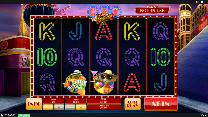 Cat In Vegas
