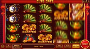 Cute Cats demo play free 0