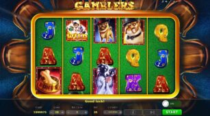 Gamblers demo play free 1