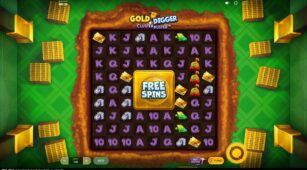 Gold Digger Clusterbuster demo play free 0