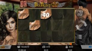 Hot Honey 22 demo play free 3