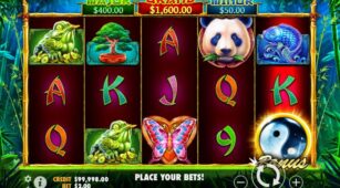 Panda’s Fortune demo play free 0