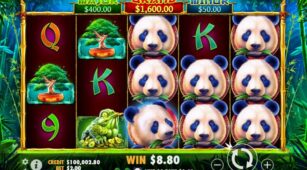 Panda’s Fortune demo play free 2