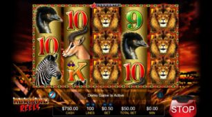 Roaming Reels demo play free 1