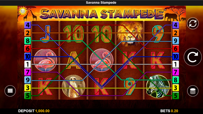 Savanna Stampede