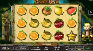 Tropical Hot demo play free 1