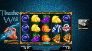 Thunder Wild demo play free 0