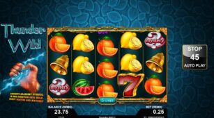 Thunder Wild demo play free 3