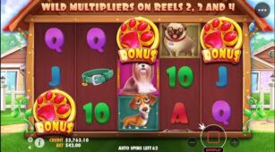 The Dog House demo play free 1