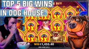 The Dog House max win video 0