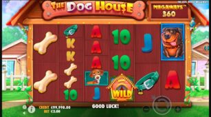 The Dog House demo play free 2