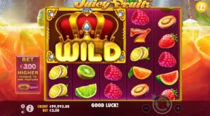 Juicy Fruits demo play free 1