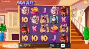 Pug Life demo play free 3