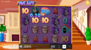 Pug Life demo play free 1