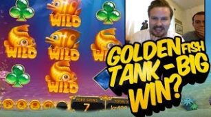 Golden Fish Tank max win video 2