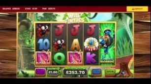 Wild Antics max win video 1