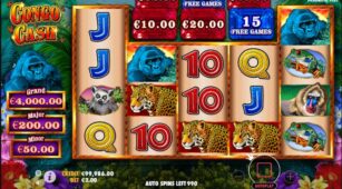 Congo Cash demo play free 1