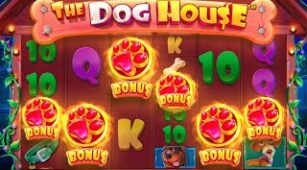 Dog House Megaways max win video 0