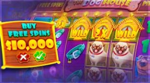Dog House Megaways max win video 1