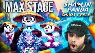 Shaolin Panda Chaos Reels max win video 0