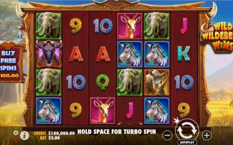 Wild Wildebeest Wins