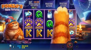 Fonzo’s Feline Fortunes demo play free 3