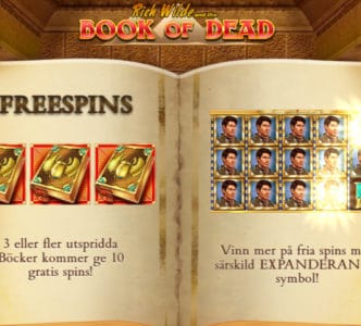 förklaring hur man spelar rich wilde and the book of dead