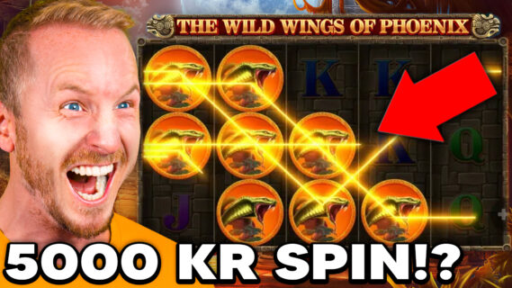 casinostugan the wild wing of phoenix slot video