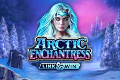 Arctic Enchantress