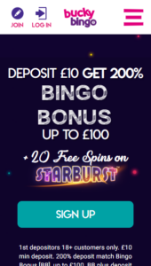 Bucky Bingo casino website